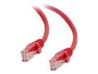 Cables To Go Cble rseau 82433