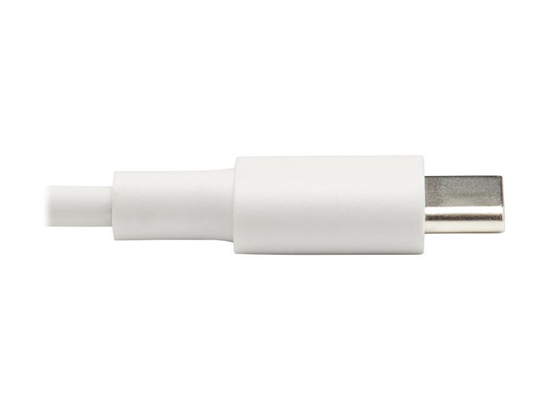 EATON TRIPPLITE USB-C to Lightning Cable