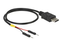 DeLOCK 24 pin USB-C (male) - 2 pin USB-samlestykke (male) Sort 30cm USB / strøm kabel