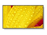 NEC MultiSync M651-2 65' Digital skiltning 3840 x 2160