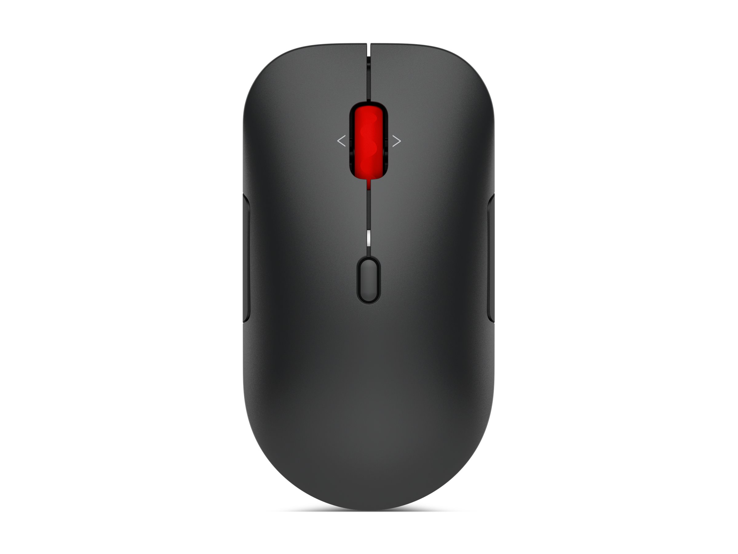 Lenovo Pro 6000 - Mouse
