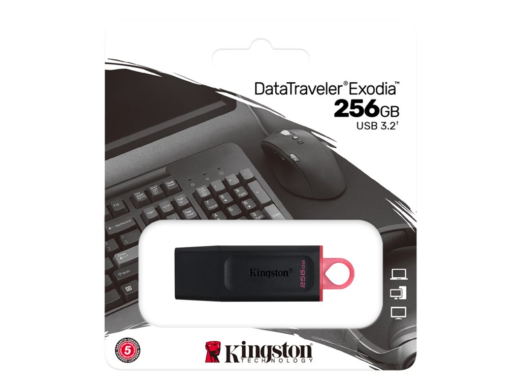 KINGSTON 256Go USB3.2 Gen1 DT Bk+Pink