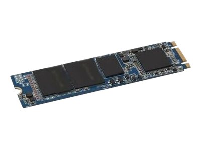 Dell - Solid state drive