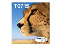 EPSON 2LB EasyMail T071 Cheetah