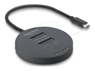 DELOCK USB 20 Gbps M.2 Dockingstation 2x M.2 NVMe PCIe SSD