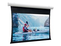 Projecta Tensioned Elpro Concept projection screen - 158" (402 cm)