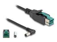 DeLOCK 8 pin USB PlusPower (12 V) (male) - Strøm DC jackstik 5,5 mm (ID: 2,1 mm) (male) Sort 1m Forstærket USB kabel
