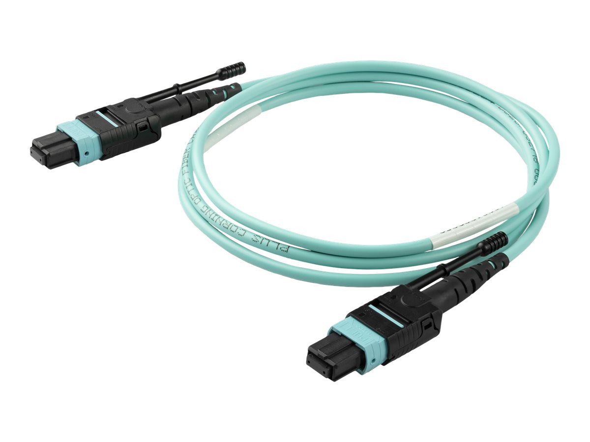 PhuL様 StarTech.com 10m (30ft) MTP(F)/PC OM3 Multimode Fiber Optic