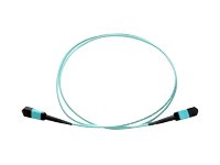 Axiom - Network cable