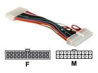 DeLOCK Strøm 24 pin ATX (female) - Effekt ATX 20-pin (male) 15cm Strømforsyningsadapter