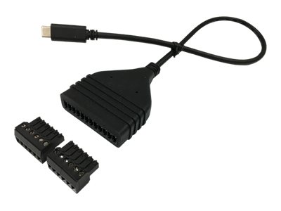 Image of BrightSign USB C to GPIO 12-pin Cable Kit - GPIO cable - USB-C
