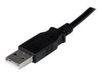 StarTech.com Cartes USB2DVIPRO2