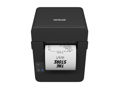 Epson TM T20IV (102)