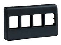 Panduit NetKey Modular Furniture Faceplate