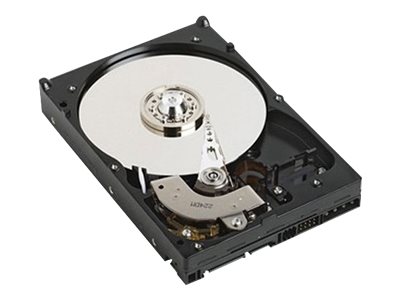 Dell - Customer Kit - hard drive