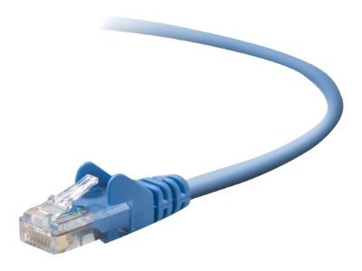 Belkin - Patch cable
