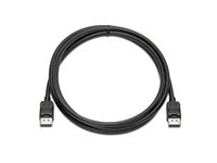 HP DISPLAYPORT CABLE KIT