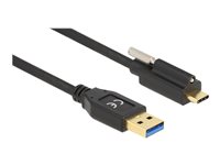 DeLOCK USB 3.2 Gen 2 USB Type-C kabel 50cm Sort
