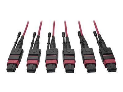 Tripp Lite 24-Fiber MTP MPO OM4 Base-8 MMF Trunk Cable 40/100GbE 3X, 23M