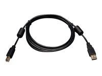Eaton Tripp Lite Series USB 2.0 A to B Cable with Ferrite Chokes (M/M), 6 ft. (1.83 m)