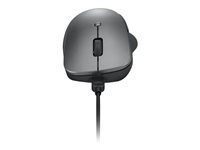 Lenovo Professional - mouse - Bluetooth 5.1 - storm grey
