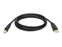 Eaton Tripp Lite Series USB 2.0 A to B Cable (M/M), 6 ft. (1.83 m) - USB cable - USB to USB Type B - 1.8 m