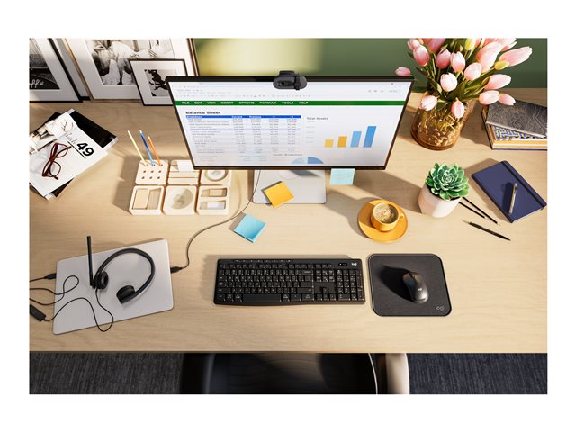 LOGI WEBCAM - Brio 105 Graphite 960-001592