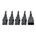 Eaton Tripp Lite Series Power Cord Splitter, C14 to 4xC13 PDU Style