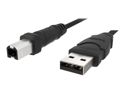 Belkin 10ft USB A/B Device Cable USB cable USB (M) to USB Type B (M) USB 2.0 10 ft  image