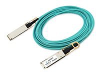 Axiom - Câble d'attache direct 100GBase-AOC - QSFP28 pour QSFP28 - 10 m 
