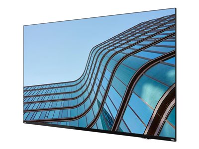 LENOVO ThinkVision E55 LFD 138,68cm TS Monitore TFT
