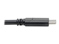 EATON TRIPPLITE USB-C to USB-A Cable M/M