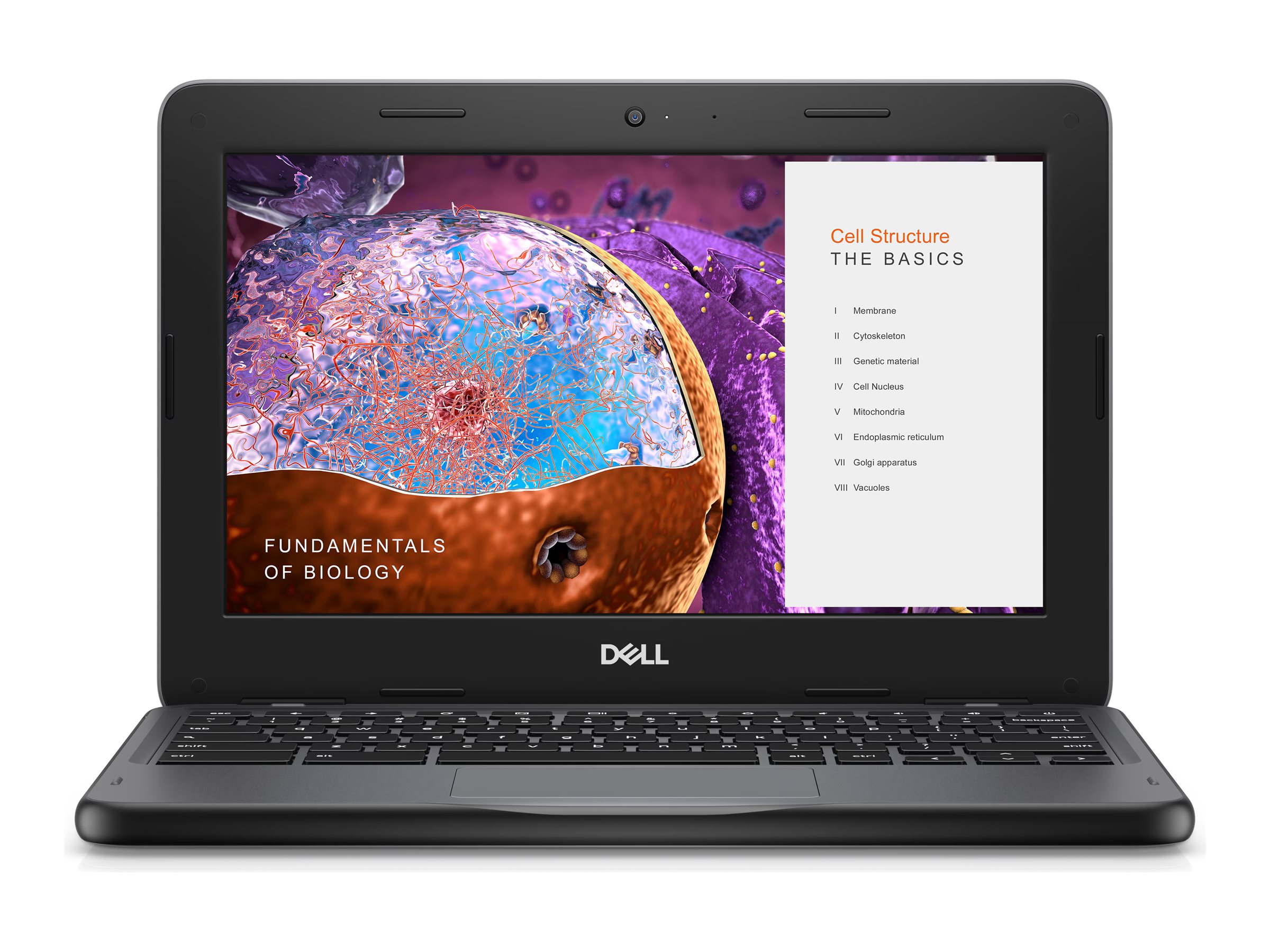 Dell Chromebook JSL 11 3110