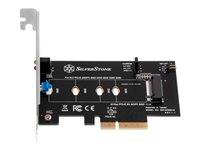 SilverStone SST-ECM21-E Lagringskontrol