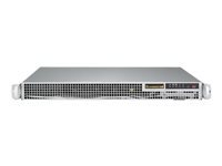 Supermicro SuperServer 1028R-WMRT