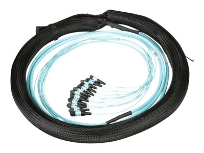 Panduit - Trunk cable