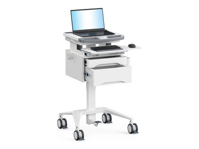 Mount-It! - Cart - workstation