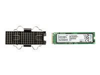 HP Z Turbo Drive Kit - SSD - encrypted - 1 TB - internal - Self-Encrypting Drive (SED) - for Workstation Z4 G4, Z6 G4