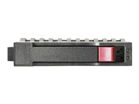 HPE Value Endurance Enterprise Boot - SSD - 80 GB - SATA 6Gb/s