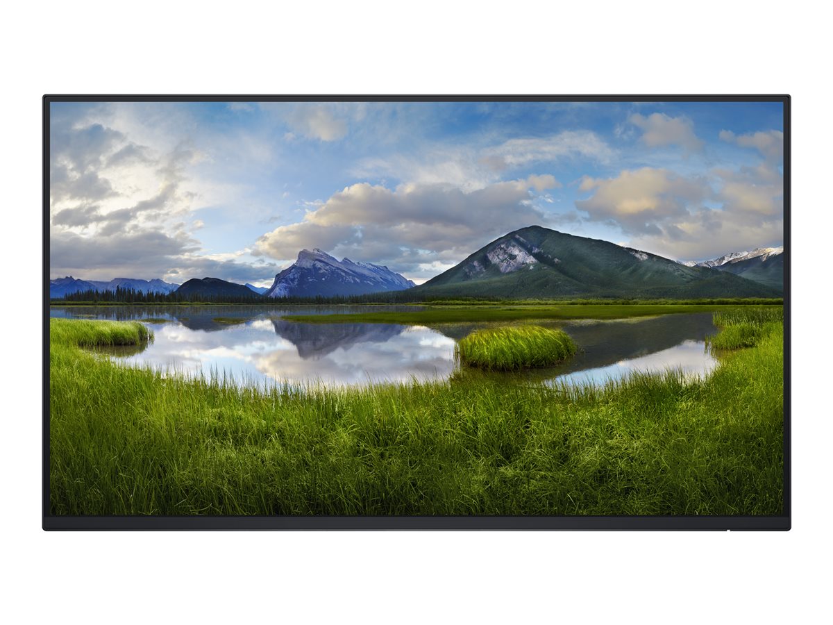 Dell P2425H (DELL-P2425HWO)