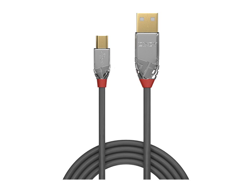 C ble USB 2.0 Type A vers Mini-B, Cromo Line, 2m