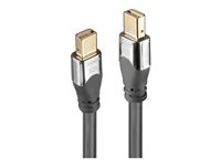 Lindy Produits Lindy 36307