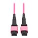 Eaton Tripp Lite Series 100G Multimode 50/125 OM4 Fiber Optic Cable (12F MTP/MPO-PC F/F), OFNP, Magenta, 3 m (9.8 ft.), TAA