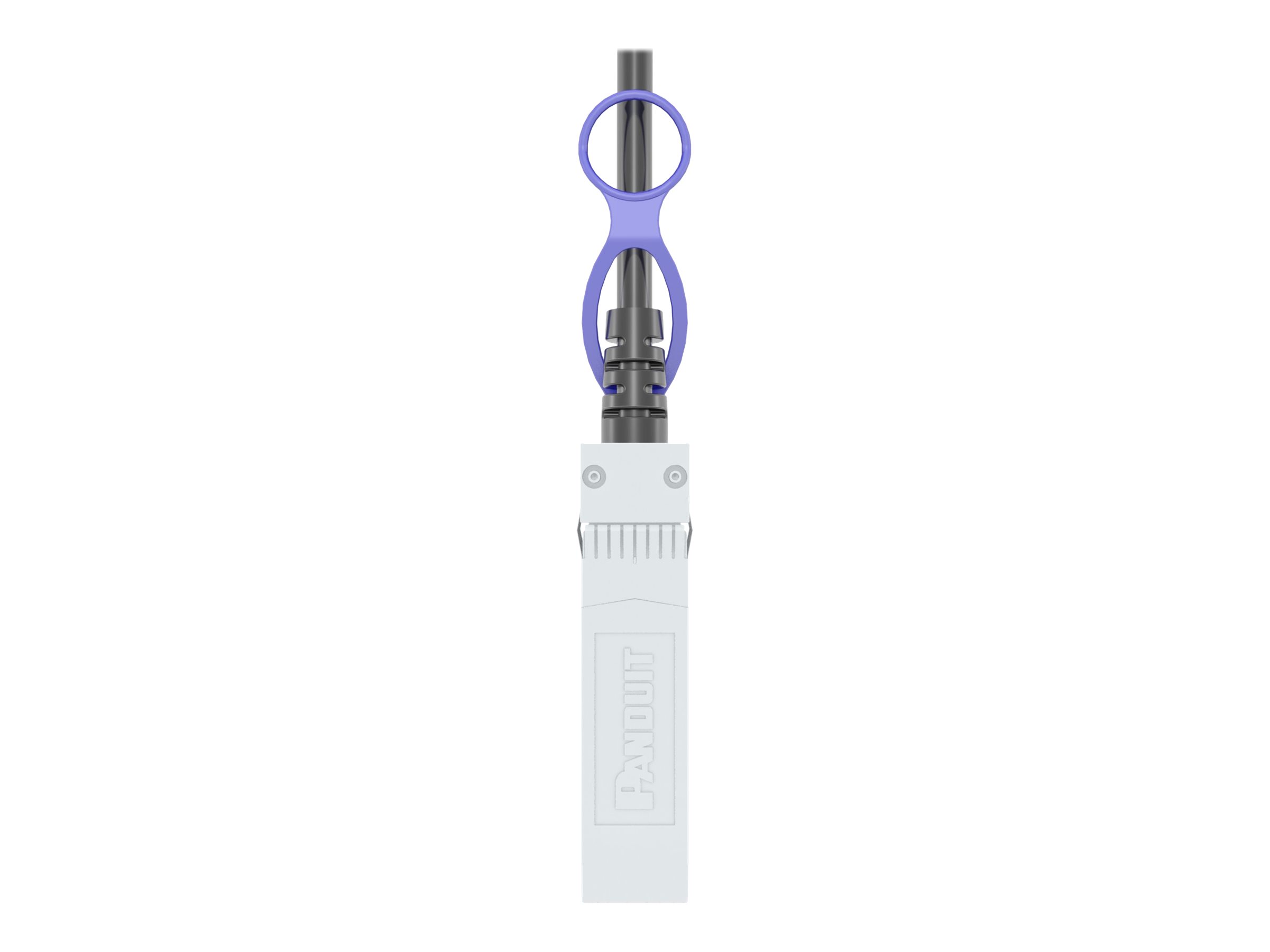 Panduit 10Gig - 10GBase direct attach cable