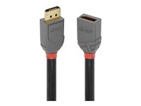 Lindy Cble et connectique vido 36495