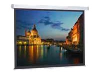 Projecta ProScreen HDTV Format - projection screen - 104" (264 cm)