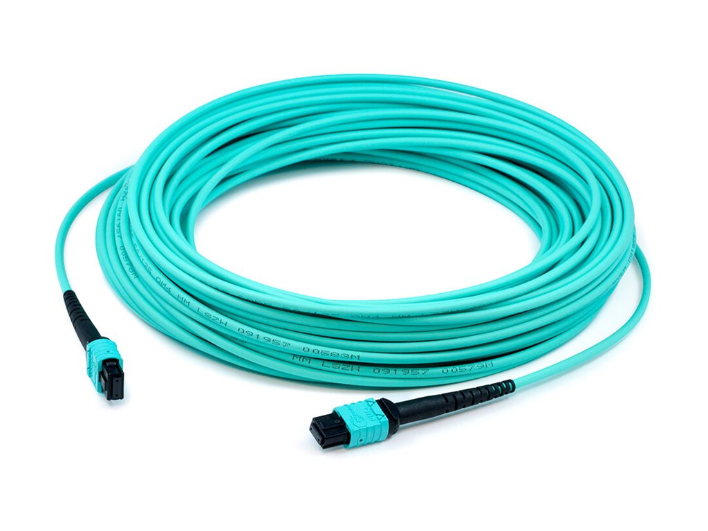 AddOn - Patch cable - MPO/PC multi-mode (F) to MPO/PC multi-mode (F)