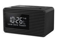 Panasonic RC-D8 Clock-radio Sort