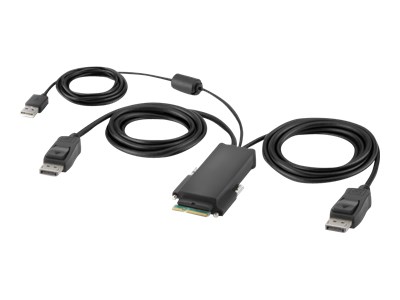 F1DN2MOD-HC-P06