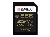 Emtec produit Emtec ECMSD256GXC10SP